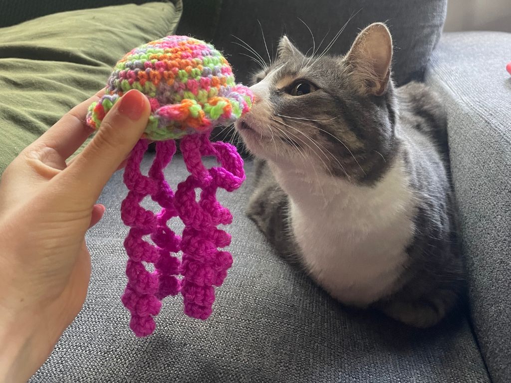 Sylvia inspecting a cat toy