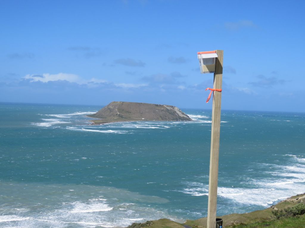 A bait station attached to the end of a post with a coastal area behind it.