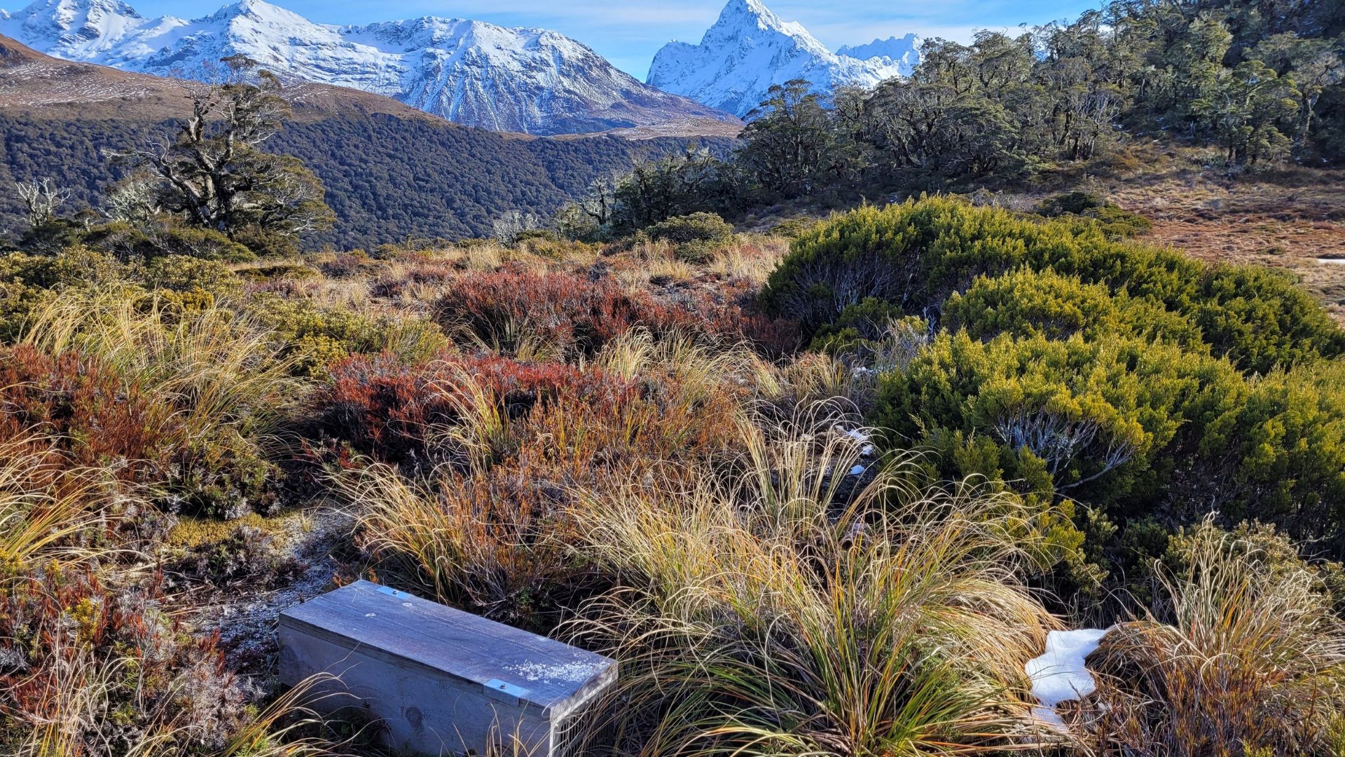 A trap box in the foreground in an alpine valley.