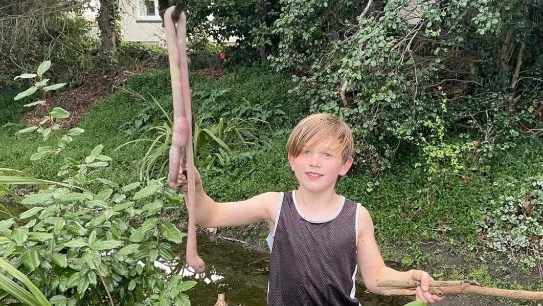 Boy holding a giant earthworm.