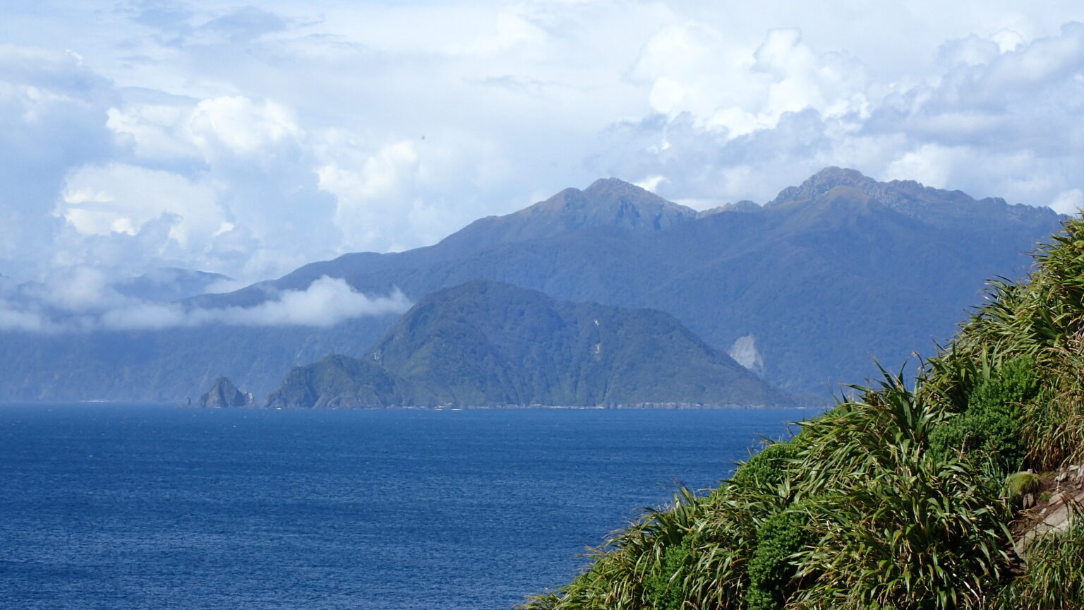 Rat eradication breakthrough — Breaksea Island 1988 - Predator Free NZ ...