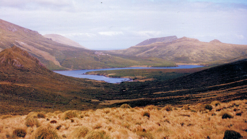 Landscape shot of Campbell Island