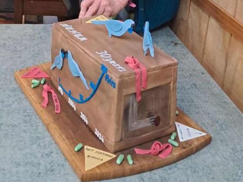 A trap-shaped cake