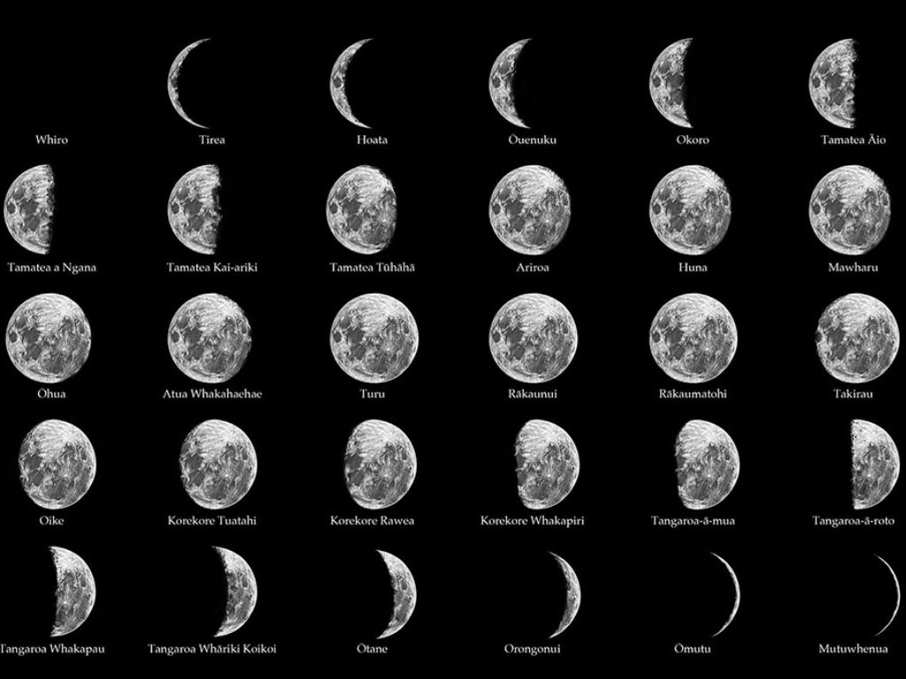 Māori moon phases.