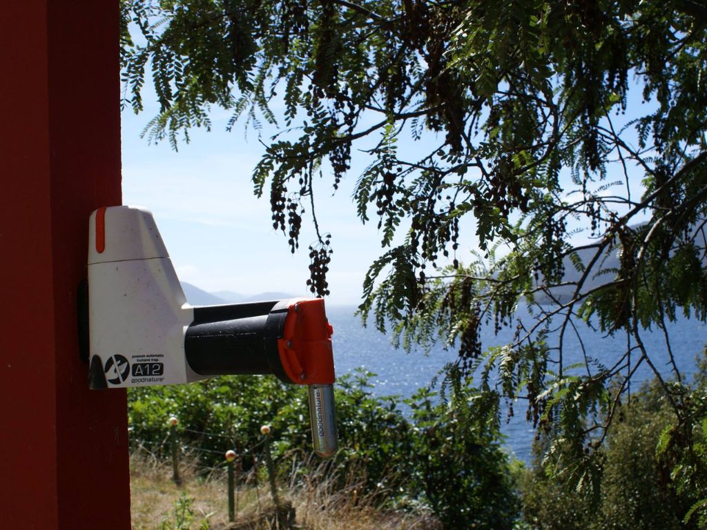 Goodnature A24 trap with a view of the Marlborough Sounds in the background.