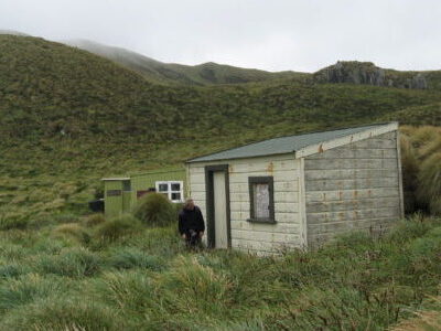 A hut on on a grassy island