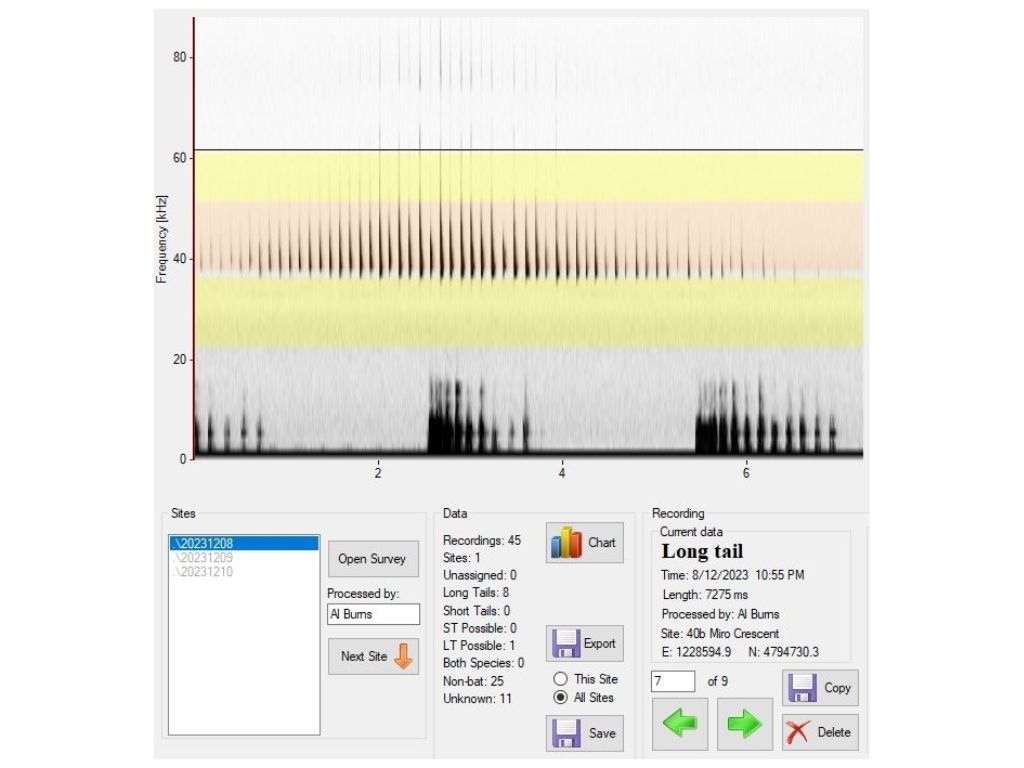 Graphs and output from a bat detector.