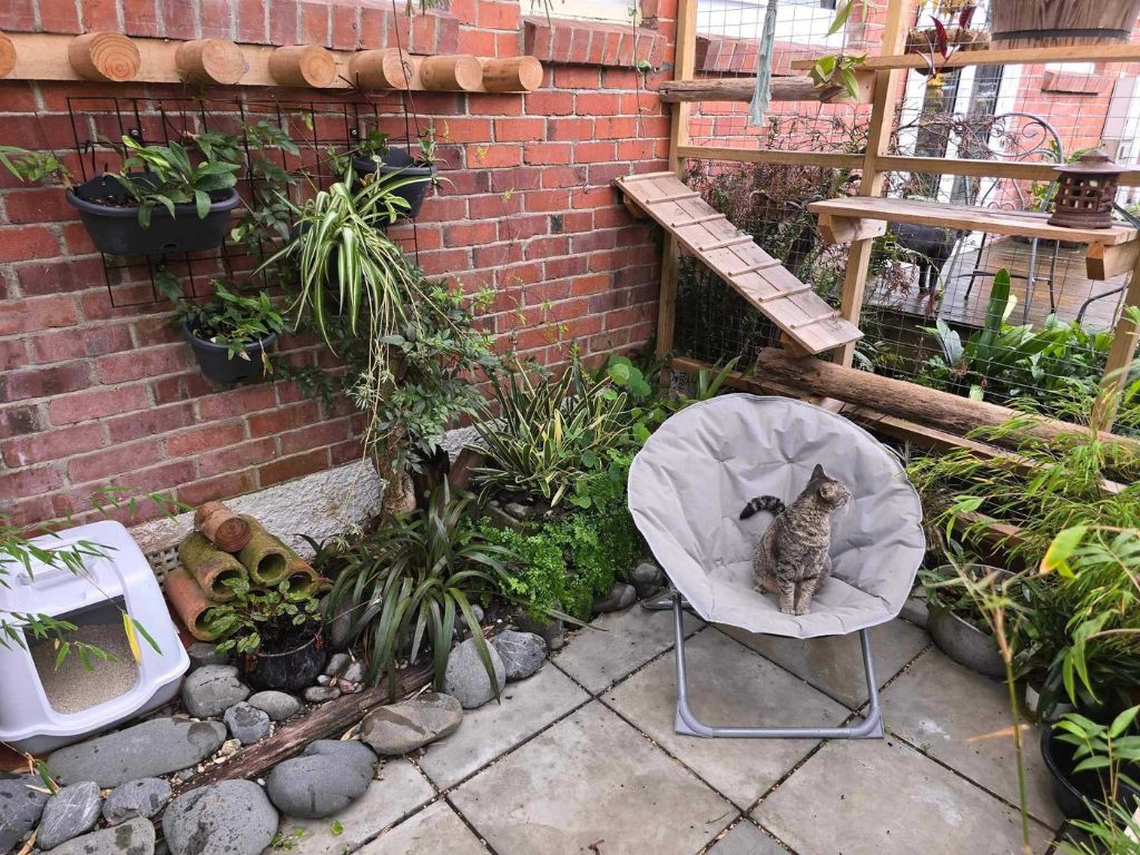 A cat sits on a camping chair inside a catio.