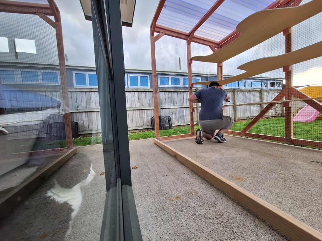 Buttons the cat watching her catio being constructed.