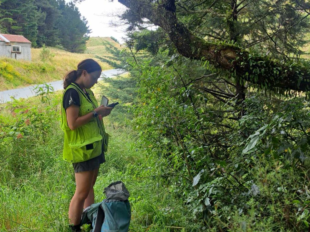 Emma standing on the edge of a forest setting up bat detectors.