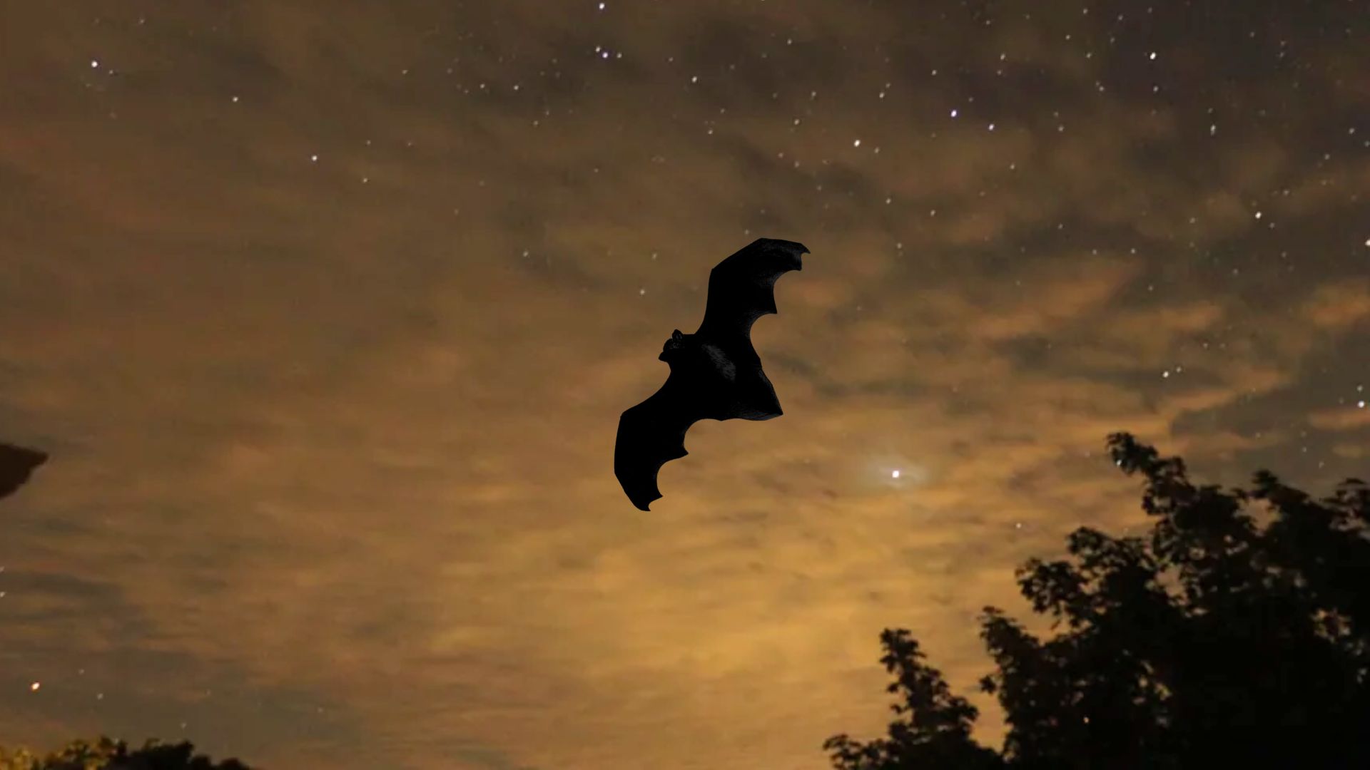 A long tailed bat flying over a dusk sky.