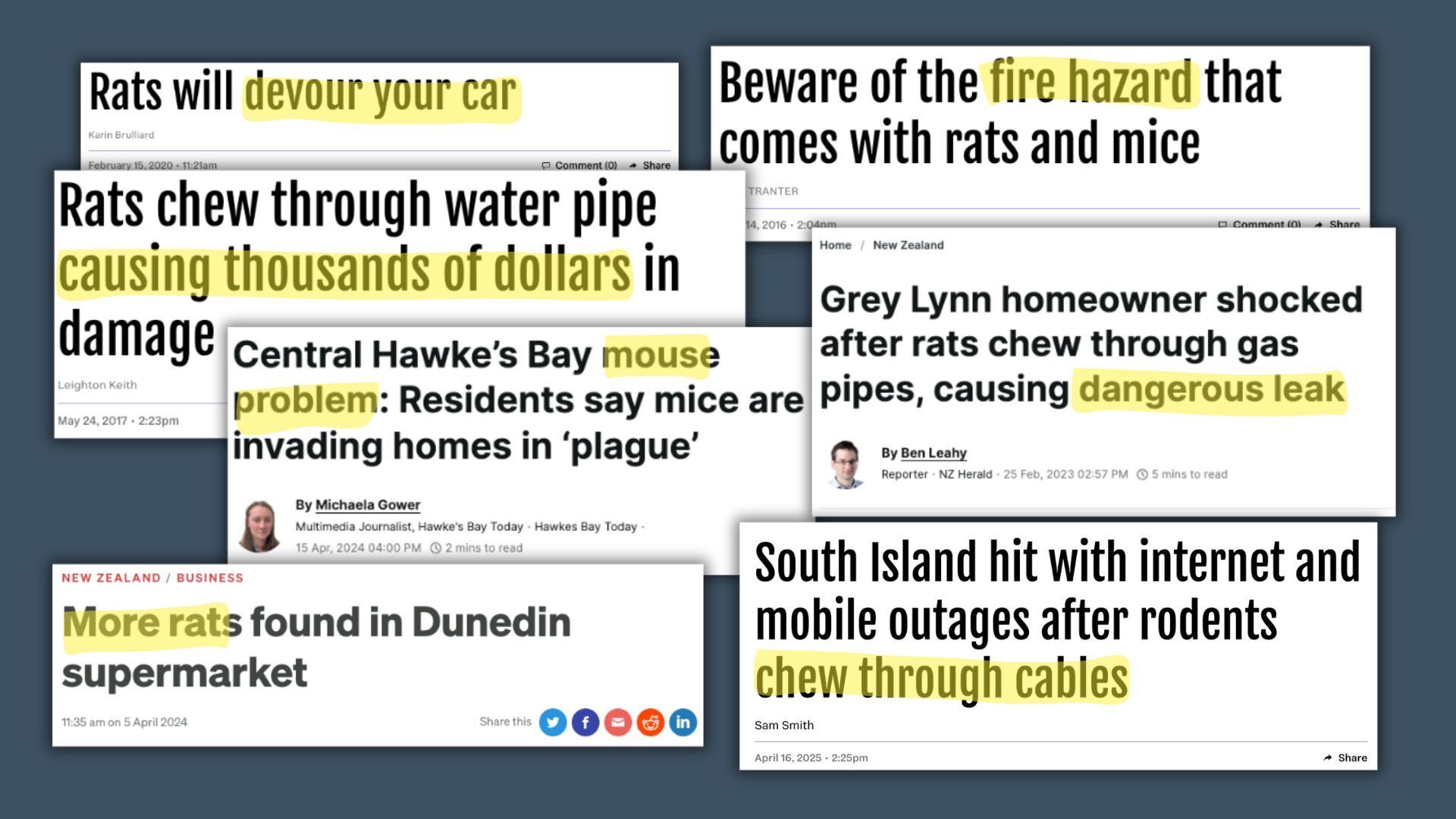 Collage of headlines from around Aotearoa New Zealand showing damage that rats and mice can have.