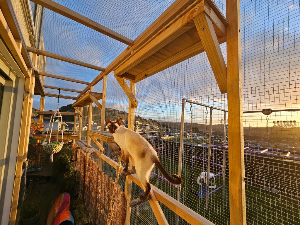 Catio with solid timber structure with wire meshing.