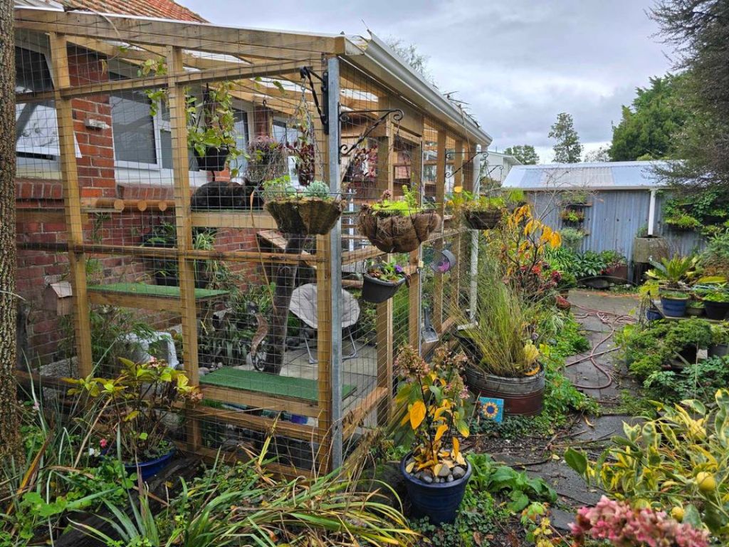 A view of a catio covered with hanging pots and plants.