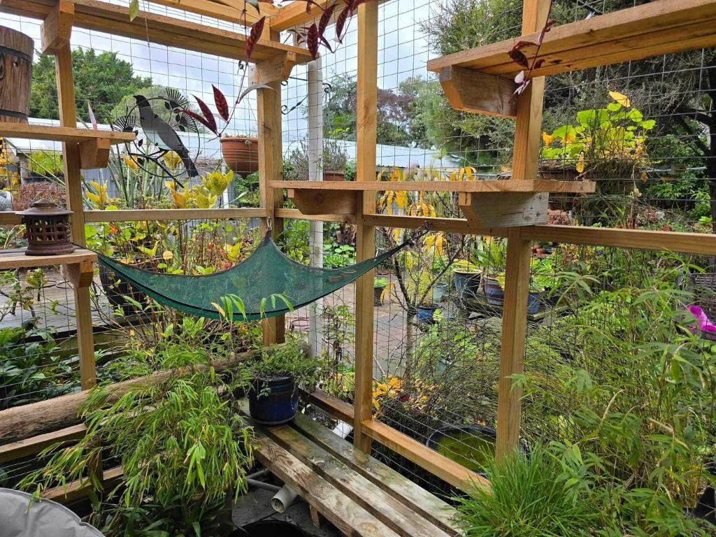 The inside of a catio with a hammock and platforms and pot plants.