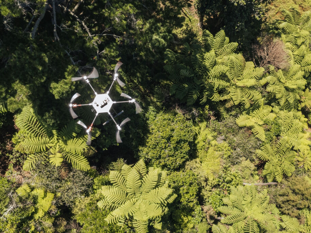 A drone over bush.