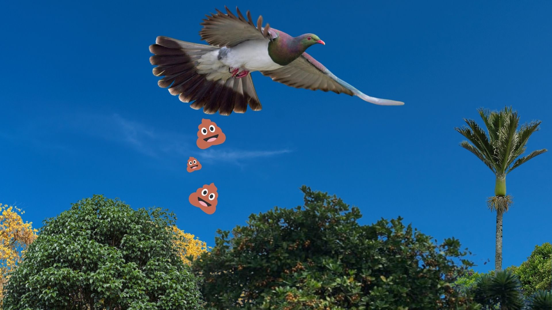 Kereru flying with poop emojis raining down