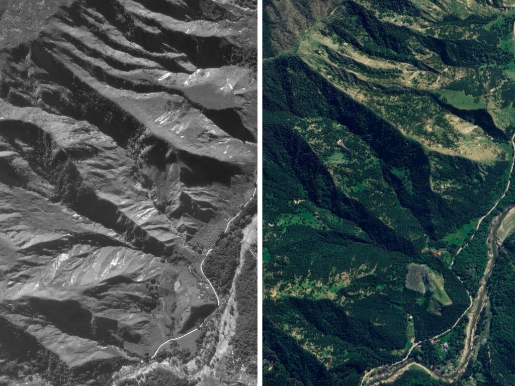 Two ariel photos of the same area. IN 1988 it is clearly grassland, and 2023 shows significant forested areas.