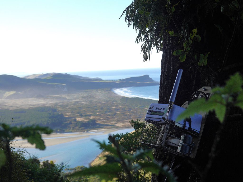 A trap in the foreground with a view over the ocean in the background