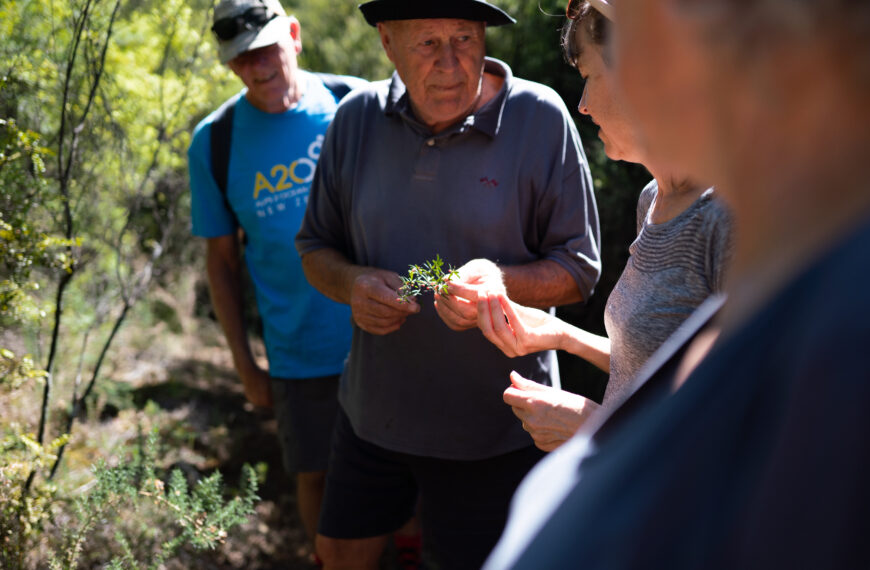 A group of people looking and discussing flora in the bush.