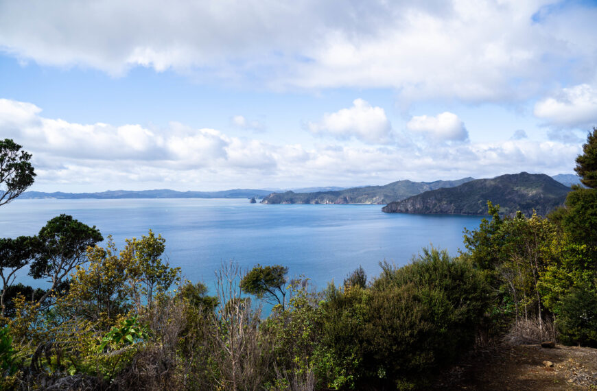 A view of the bush and water with fluffy cumulus clouds in the sky