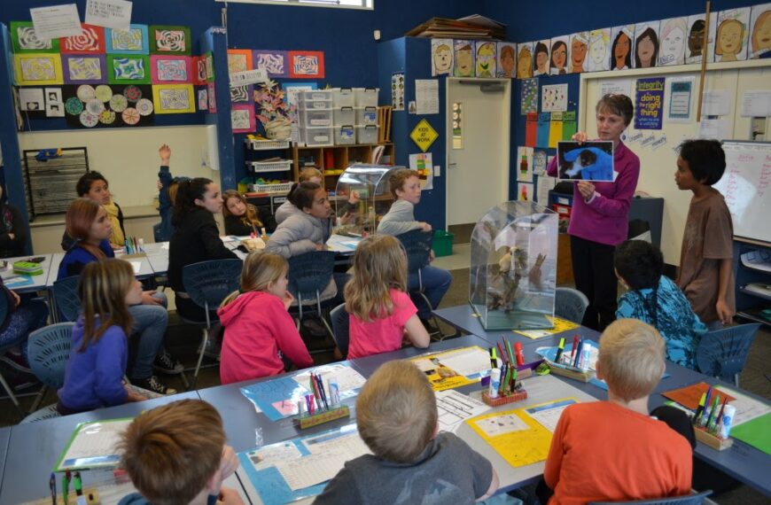 Students in a classroom watching their teacher