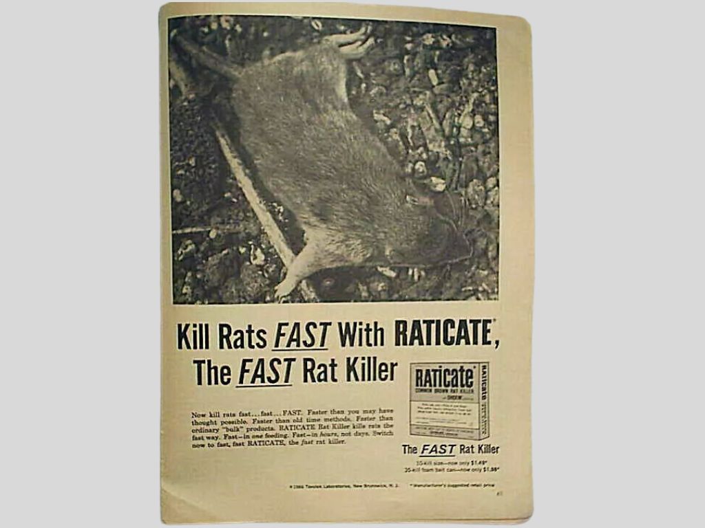 Old paper advertisement for Raticate rat killer.