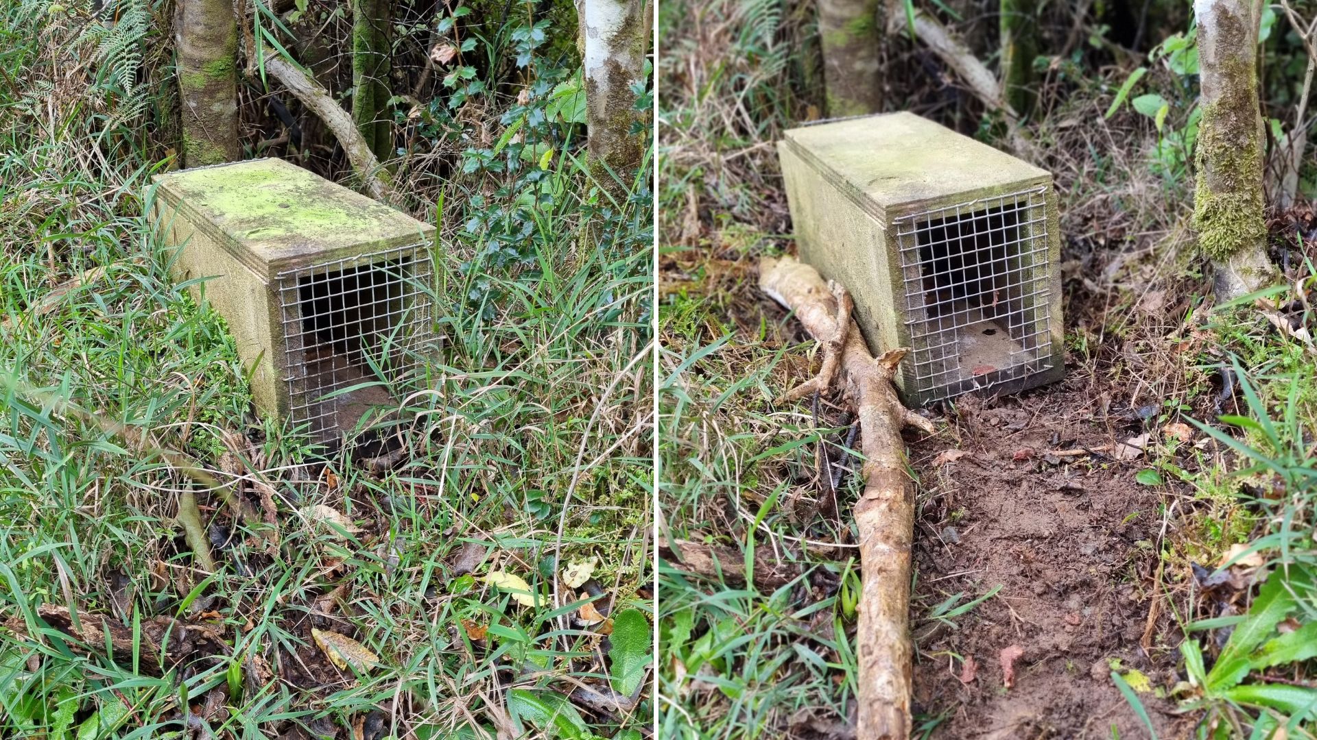 A before and after of a trap, after showing it cleaned up