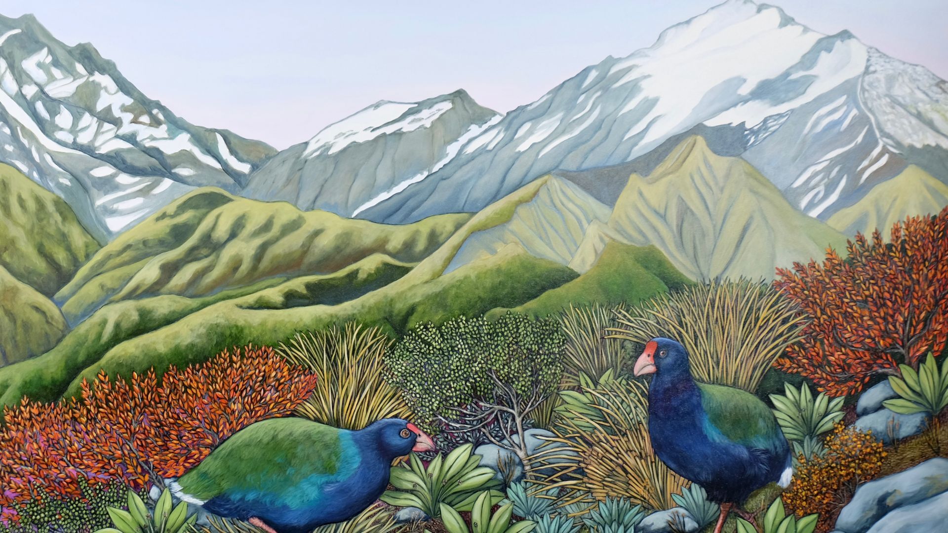 Painting of Takahē in their alpine environment.