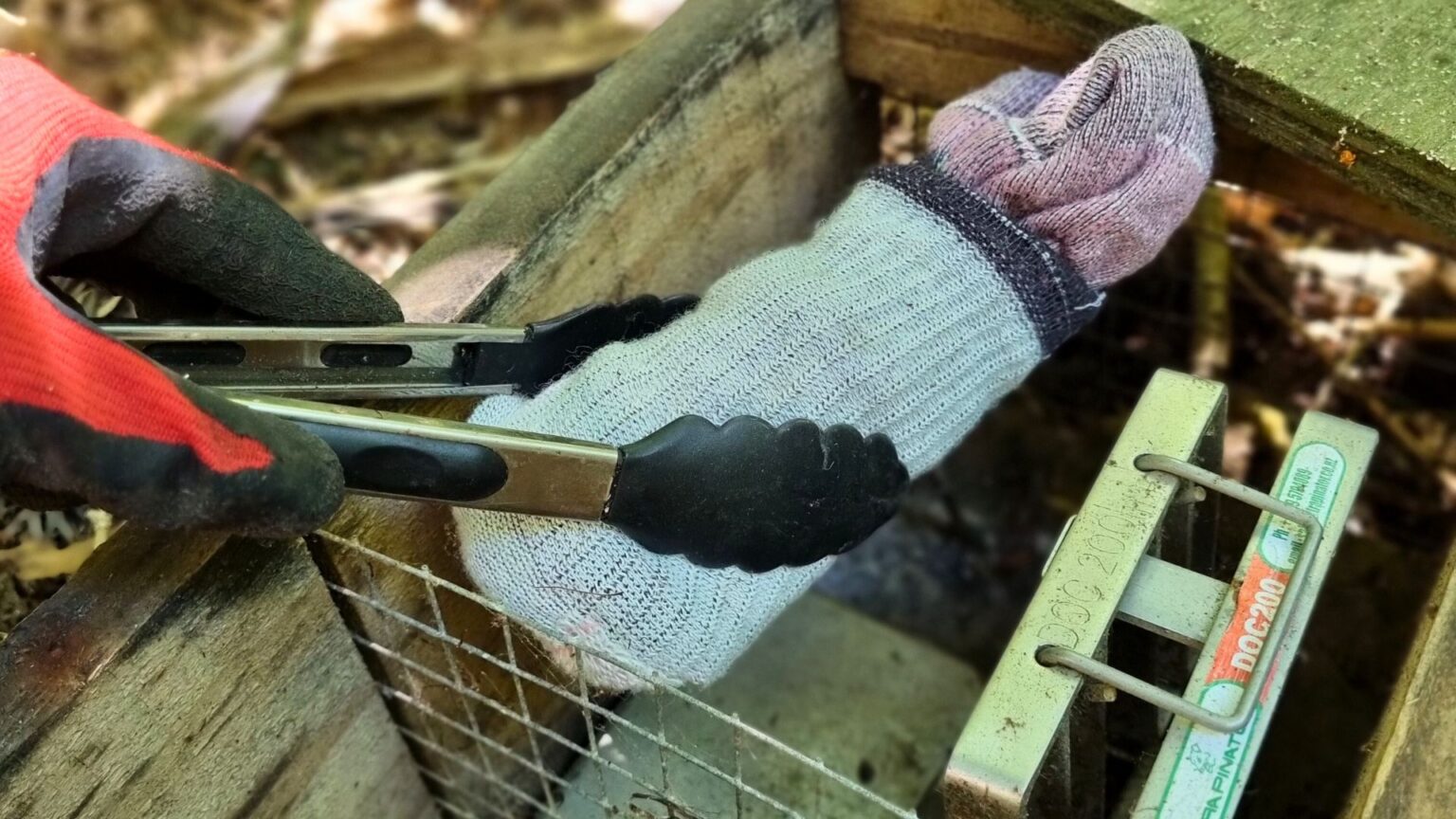 Old socks and kitchen tongs? 7 accessories to elevate your trapping kit