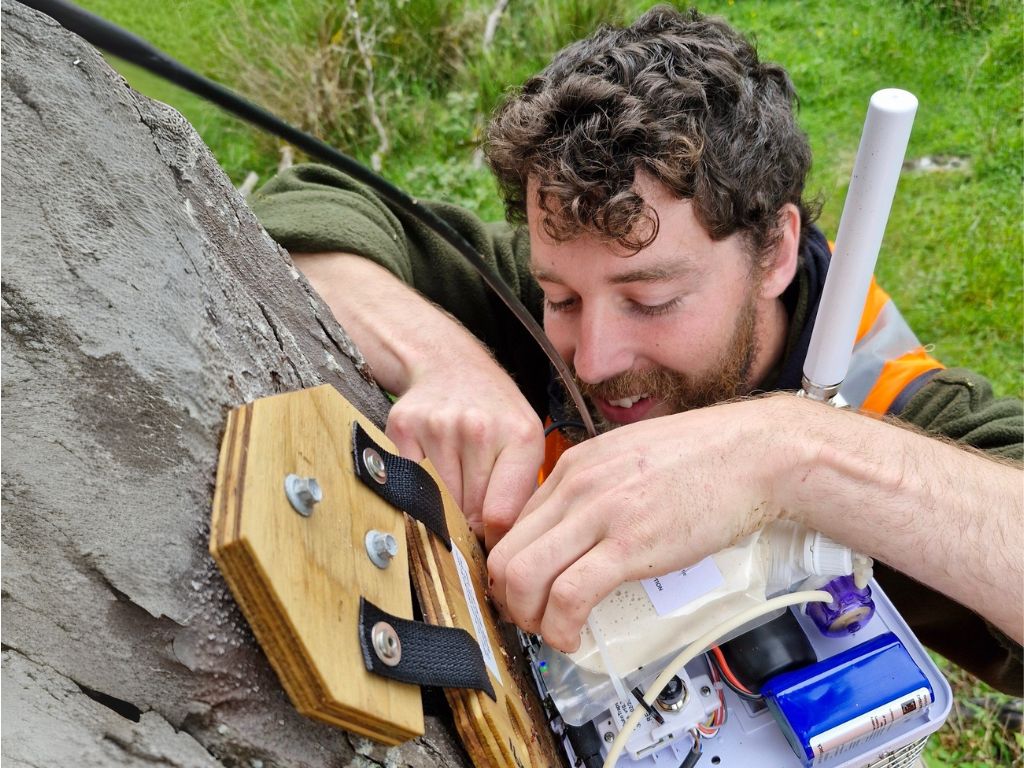 A man adjusting a trap