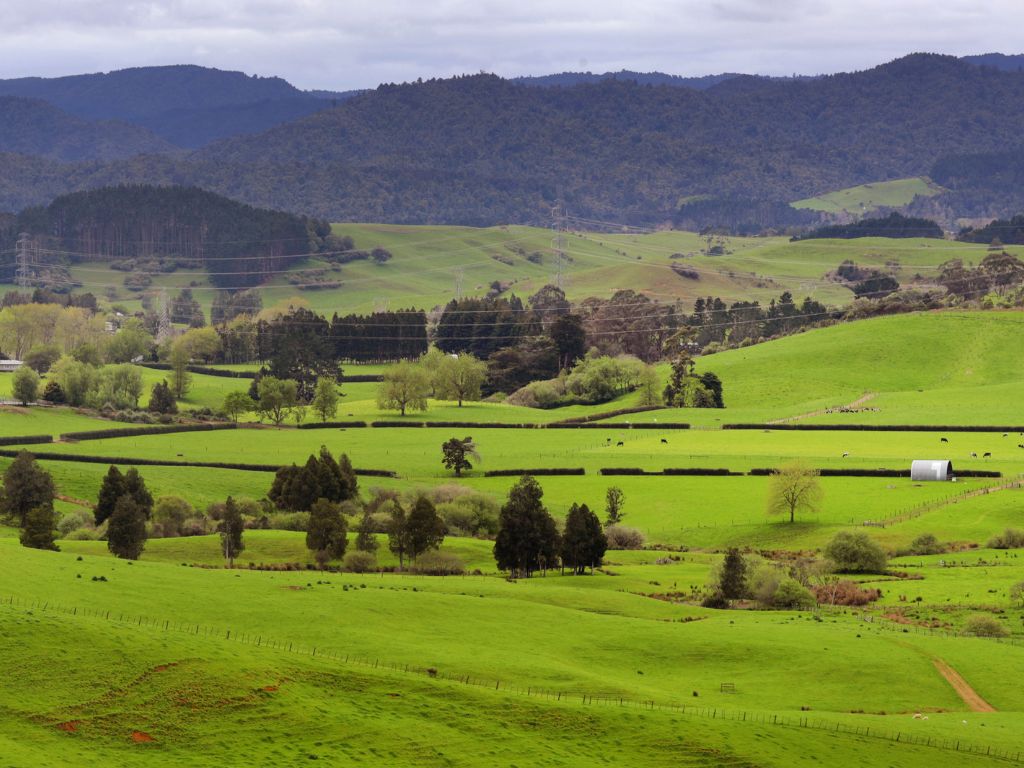 A farm with the Hunua Ranges in the background