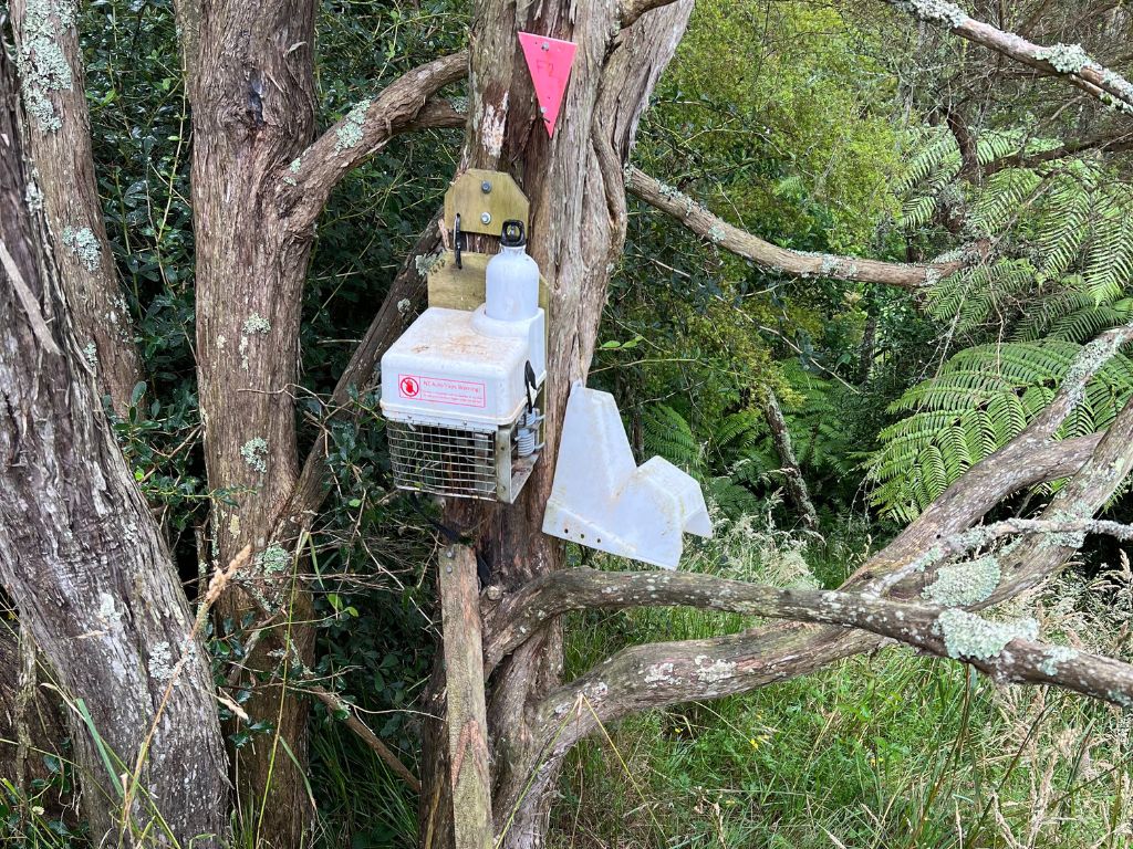 A trap and bait station mounted in a tree