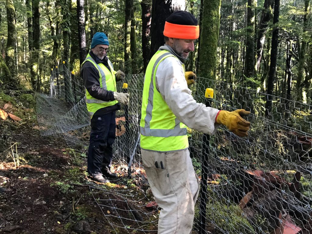 People in hi-vis clothing working in the bush