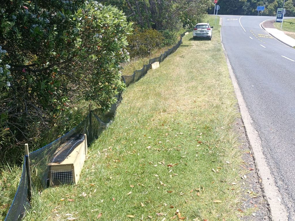 A fenceline with traps in it.