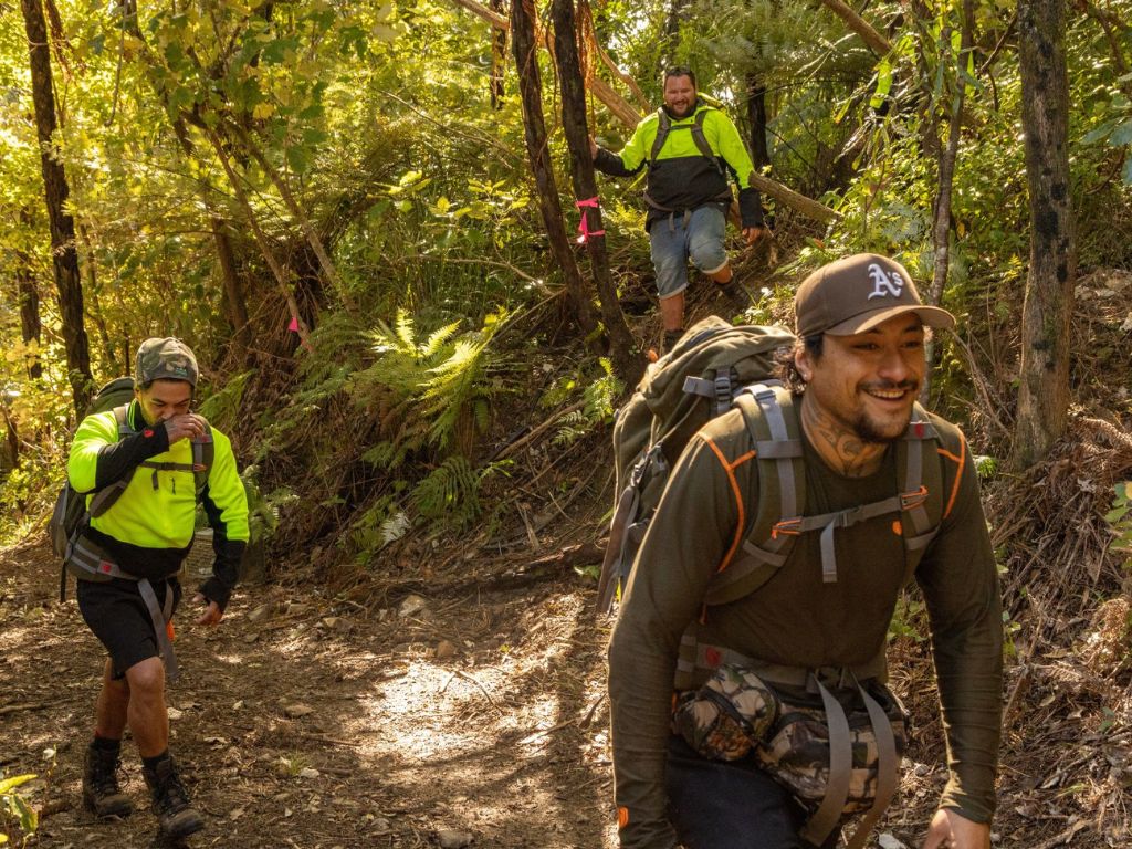 People walking in the forest