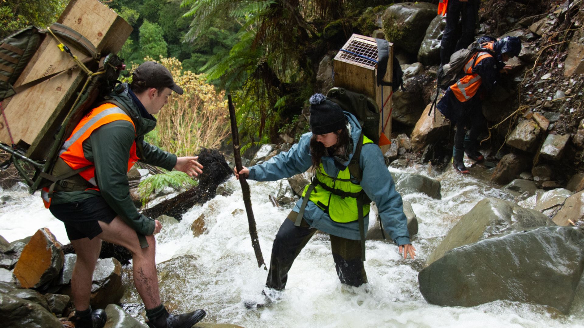People crossing a river with traps on their backs
