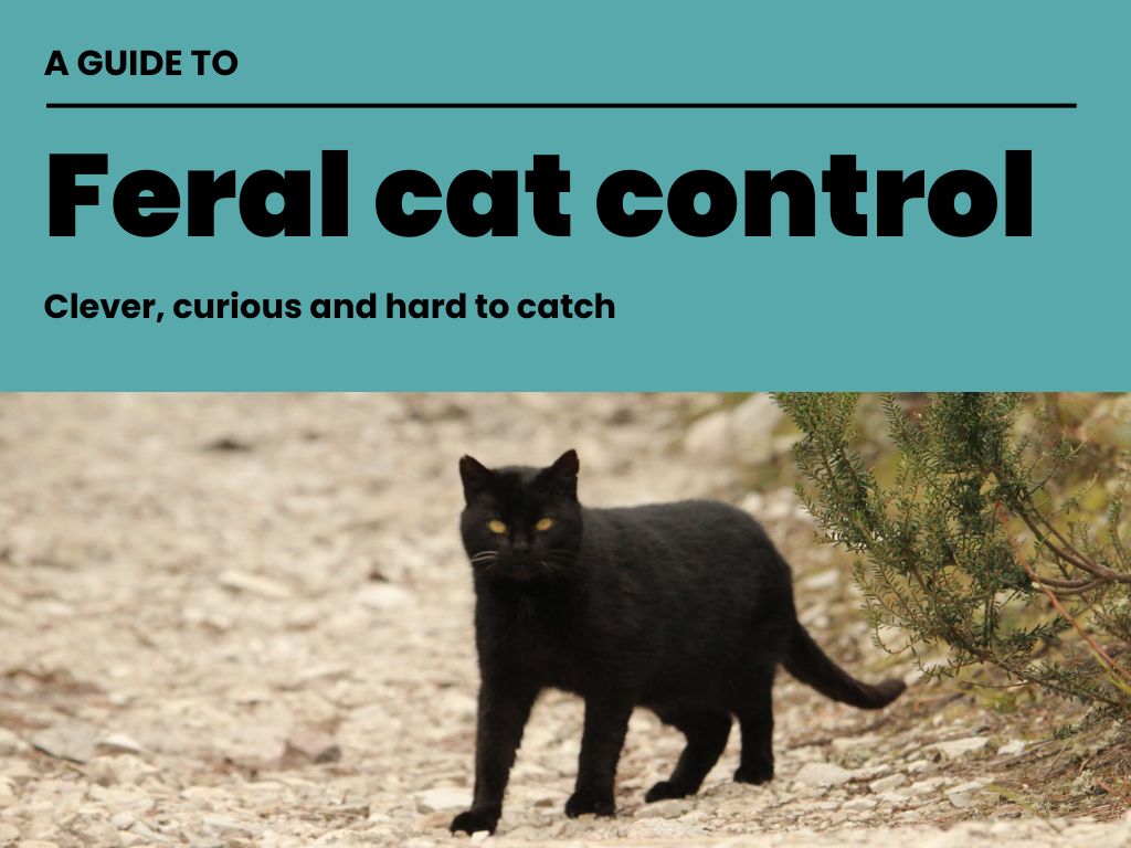 The front cover of the principles for predator control guide