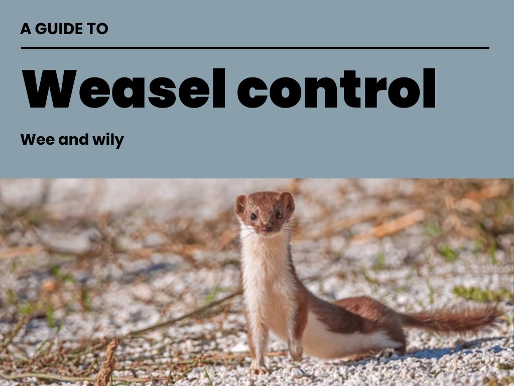 The front cover of the principles for predator control guide