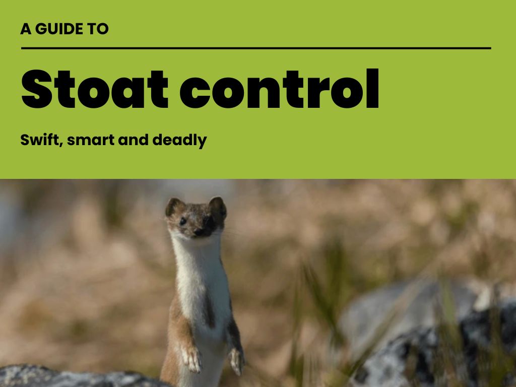 The front cover of the guide to stoat control