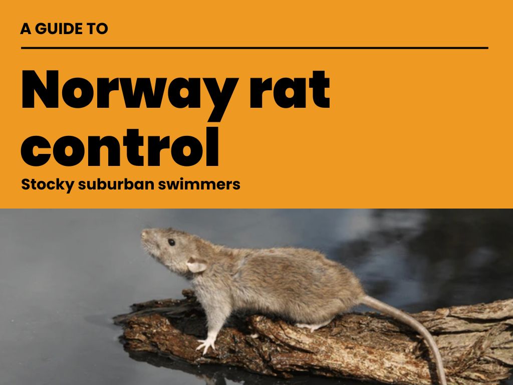 The front cover of the principles for predator control guide
