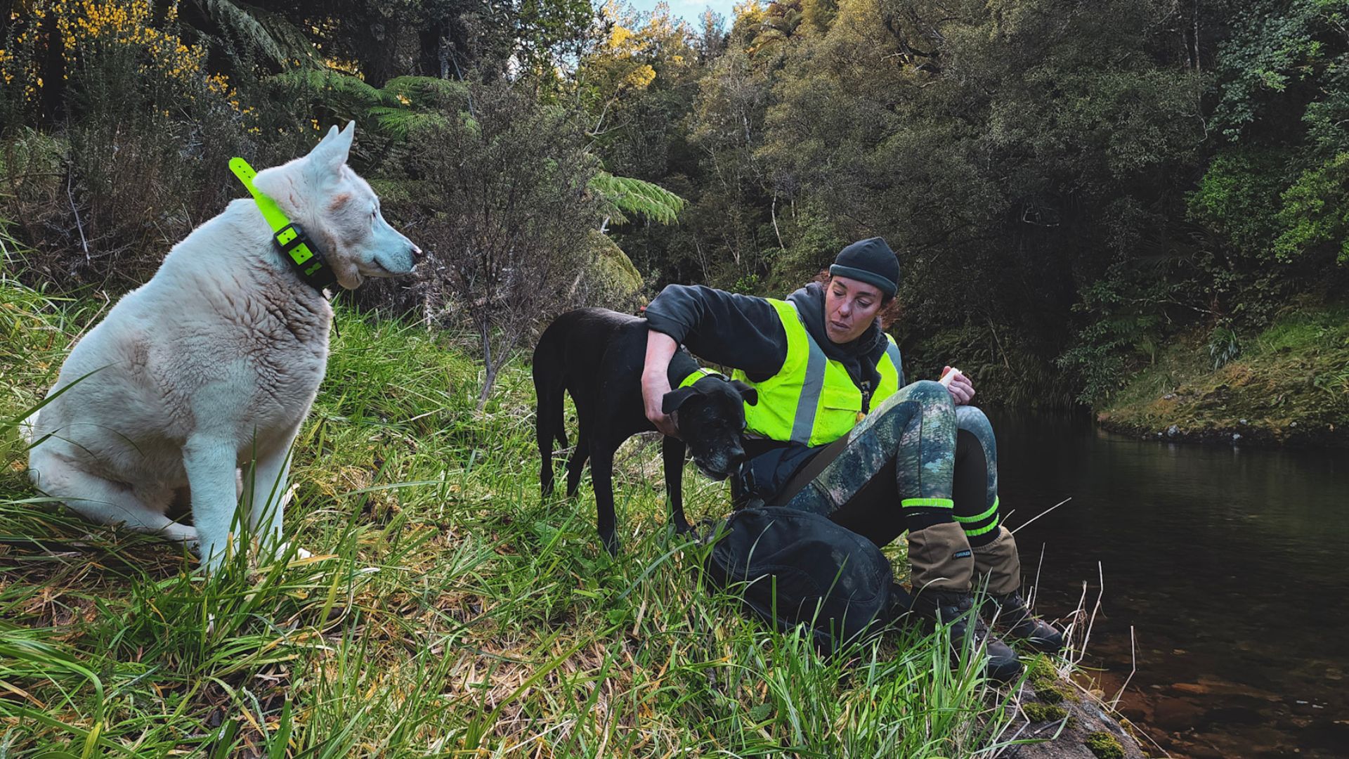 Laura and her two kurī (dogs) sitting my a river.