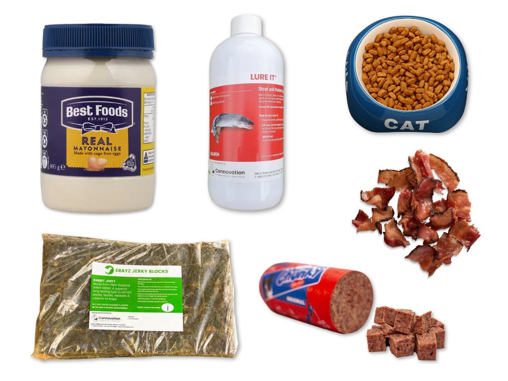 Norway rats prefer savoury, meaty, oily foods. Image credit_ PFNZ