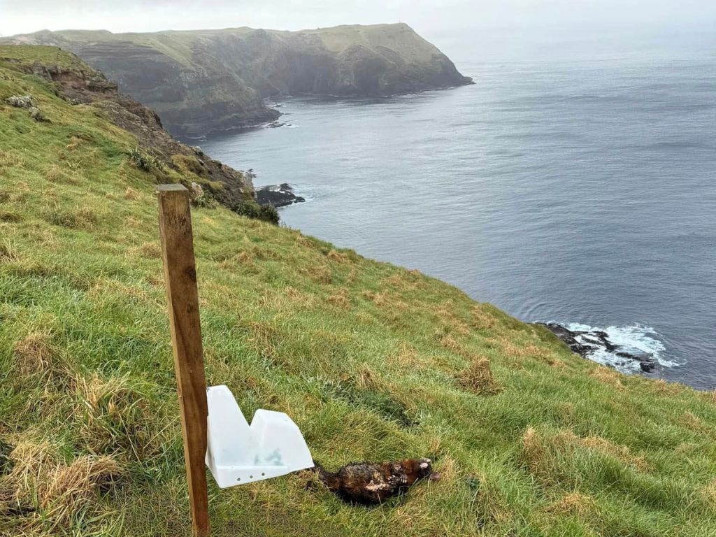 A bait station on grass overlooking cliffs on the ocean