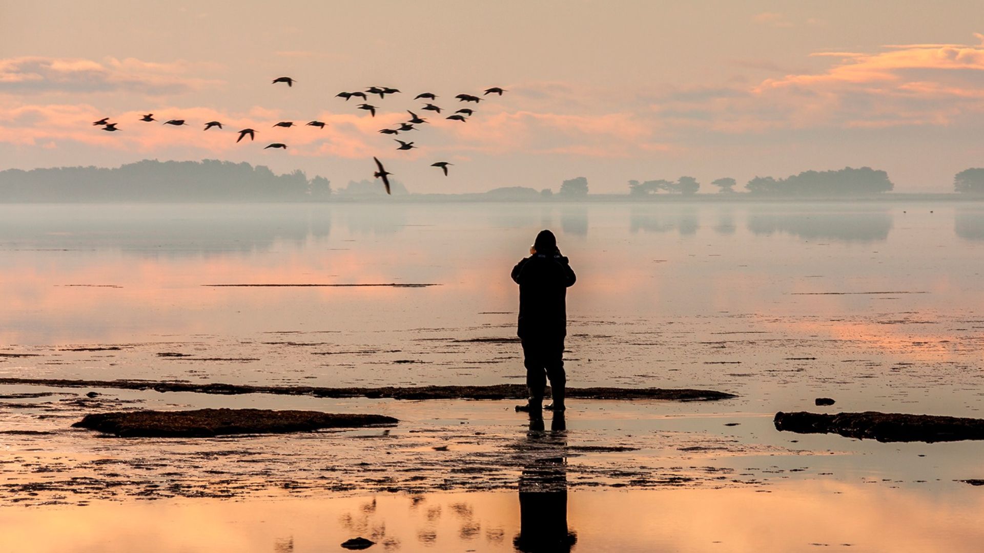 A woman standing on the beach photographing birds.