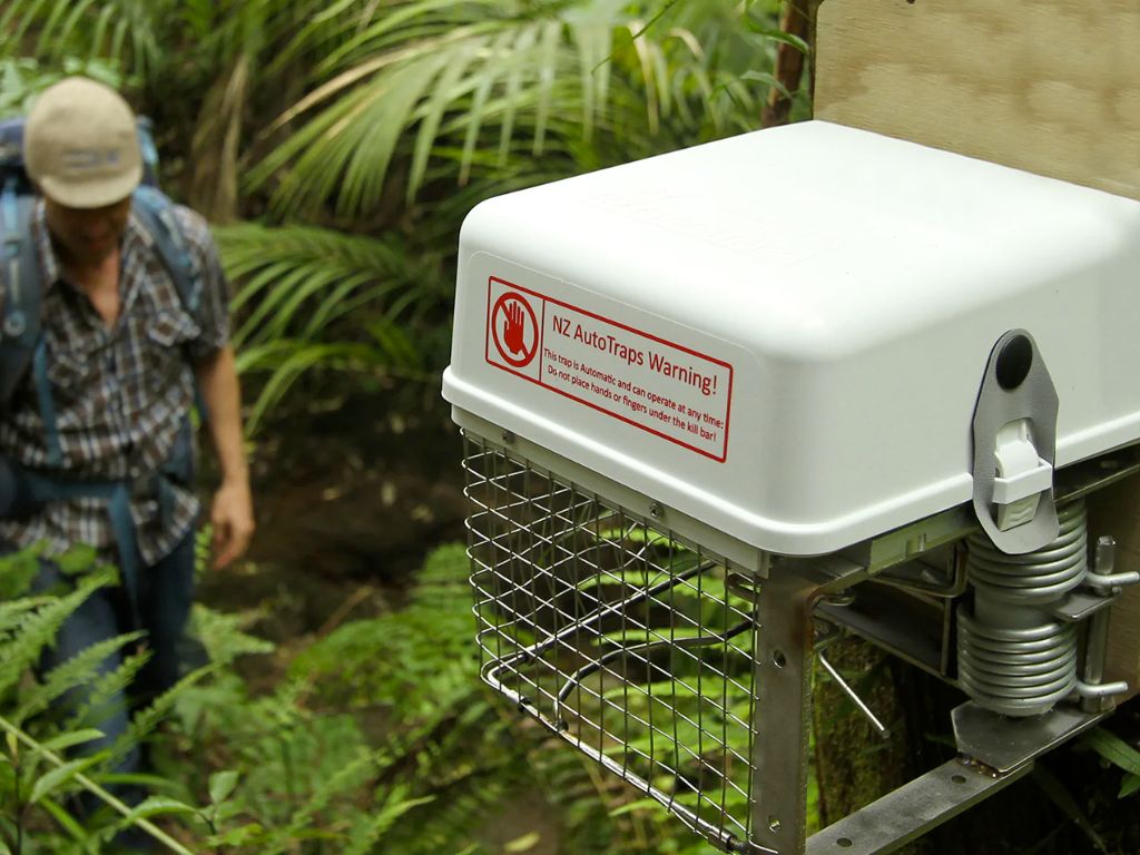 An AT220 self-resetting trap in the bush