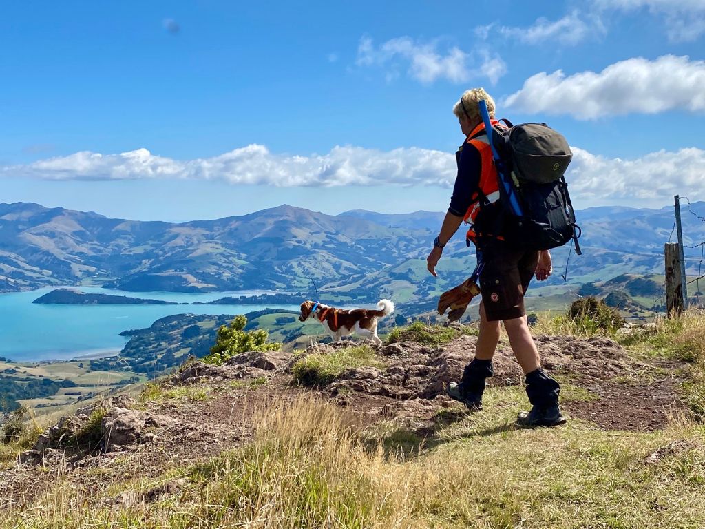 A ranger with a conservation dog.