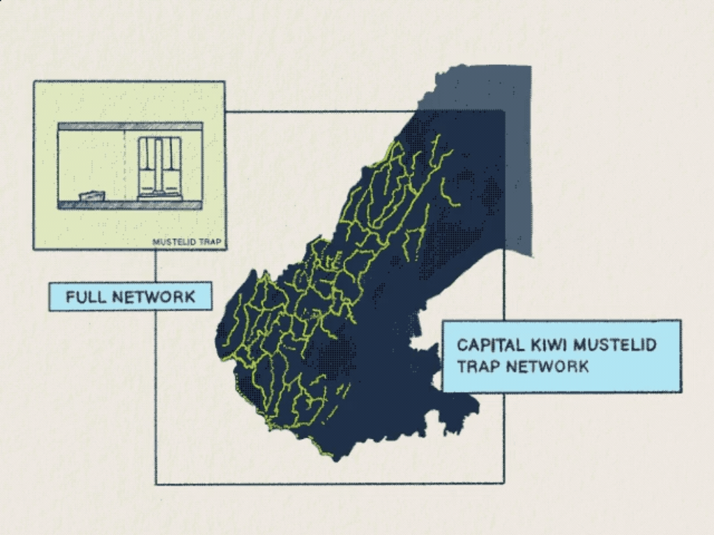 Animated map showing the extent of "chog clog" in the trap network