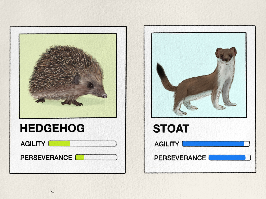 Illustration of a hedgehog and a stoat.