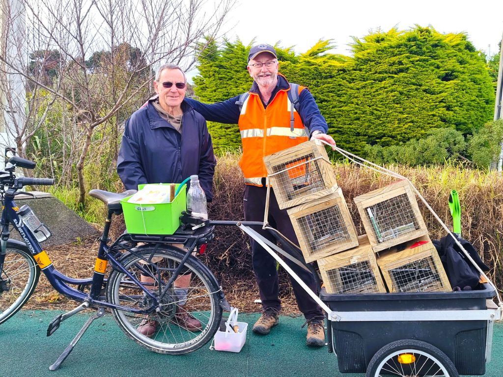 A couple of volunteers with traps